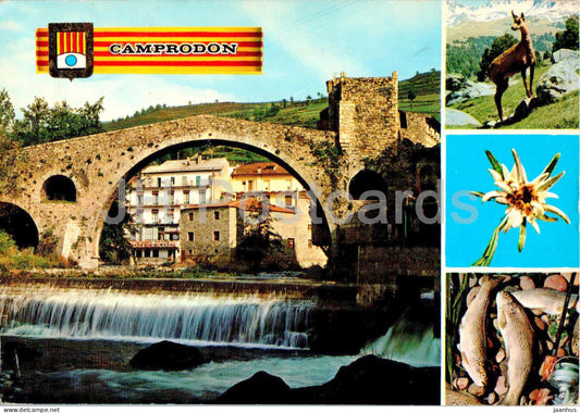 Camprodon - Villa de Interes Turistico - Pirineu Catala - romanesque bridge - multiview - 4034 - Spain - used - JH Postcards