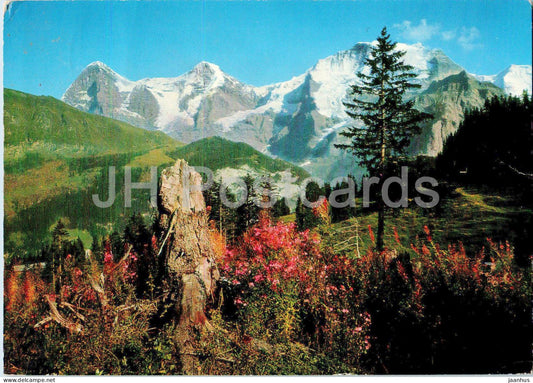 Wengen 1276 m - Eiger - Monch - Jungfrau - 5 - 1987 - Switzerland - used - JH Postcards