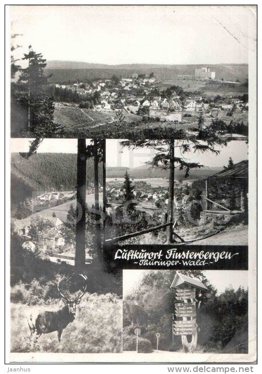 Luftkurort Finsterbergen - Thüringer Wald - Hirsch - deer - Germany - 1983 gelaufen - JH Postcards