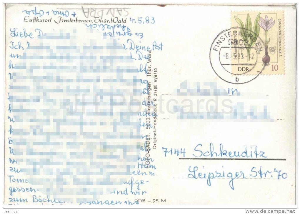 Luftkurort Finsterbergen - Thüringer Wald - Hirsch - deer - Germany - 1983 gelaufen - JH Postcards