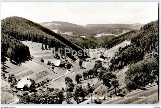 Nussbachtal bei Triberg im Schwarzwald - old postcard - Germany - unused - JH Postcards