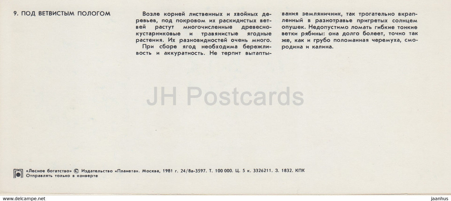 fraise des bois - myrtille - airelle - Richesse forestière - 1981 - Russie URSS - inutilisé