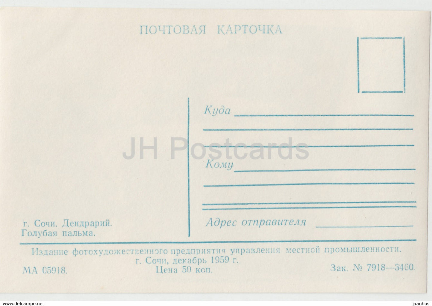 Sotschi - Dendrarium - Blaue Palme - 1959 - Russland UdSSR - unbenutzt