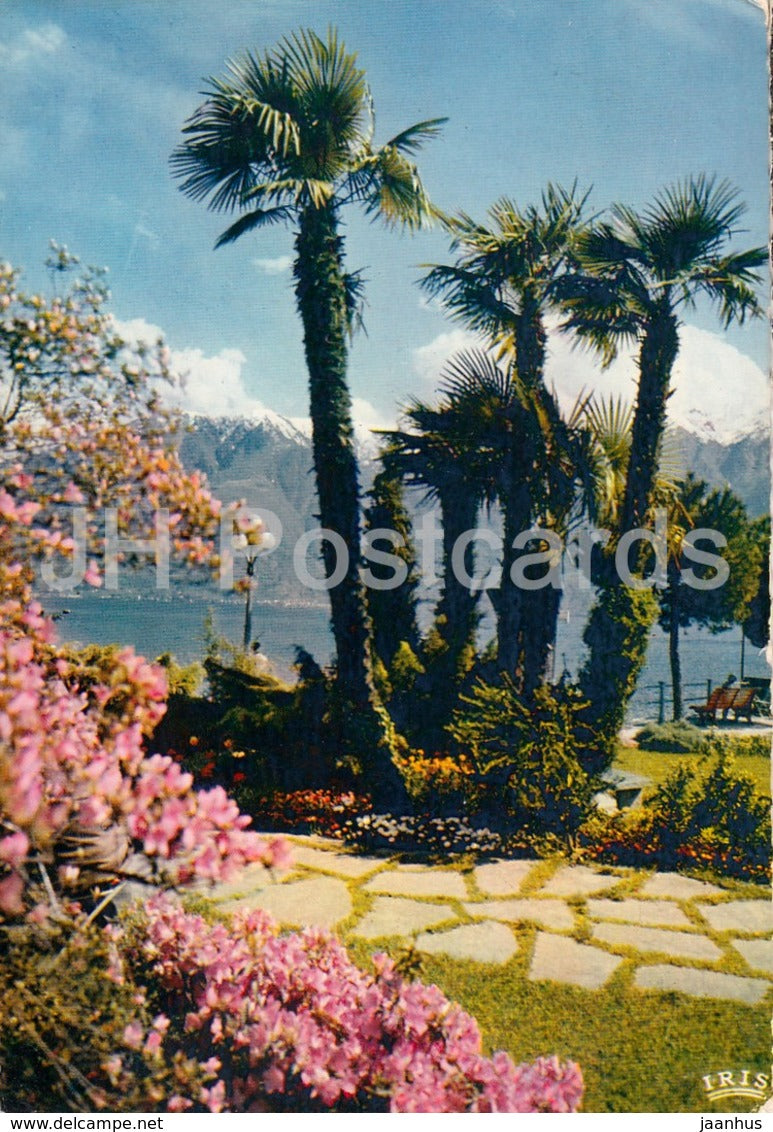 Locarno - Lago Maggiore - Lungolago - 1969 - Switzerland - used - JH Postcards