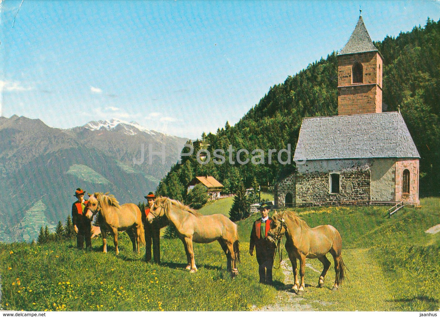 Hafling bei Meran 1298 - Haflingpferde - horse - Italy - 1981 - used - JH Postcards
