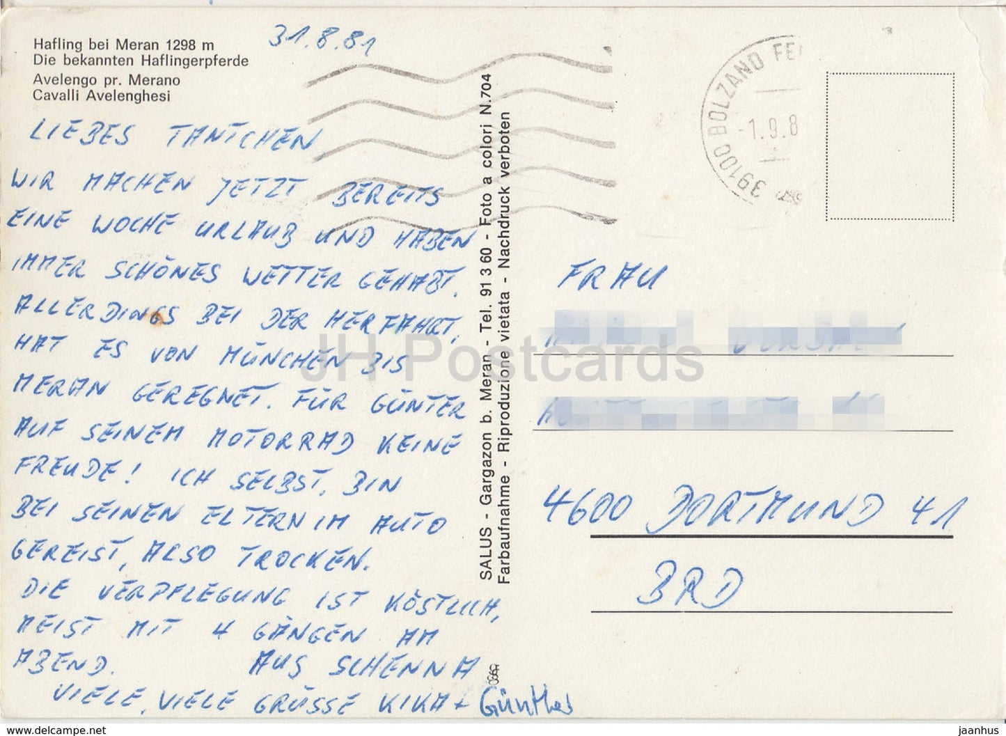 Hafling bei Meran 1298 - Haflingpferde - horse - Italy - 1981 - used