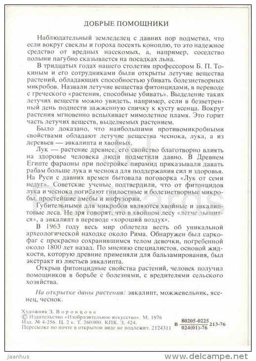 garlic - fraxinella - juniper - eucalyptus - Good Assistants - Amazing Plants - 1976 - Russia USSR - unused - JH Postcards