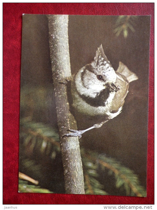 European Crested Tit - Lophophanes cristatus - birds - 1987 - Estonia USSR - unused - JH Postcards