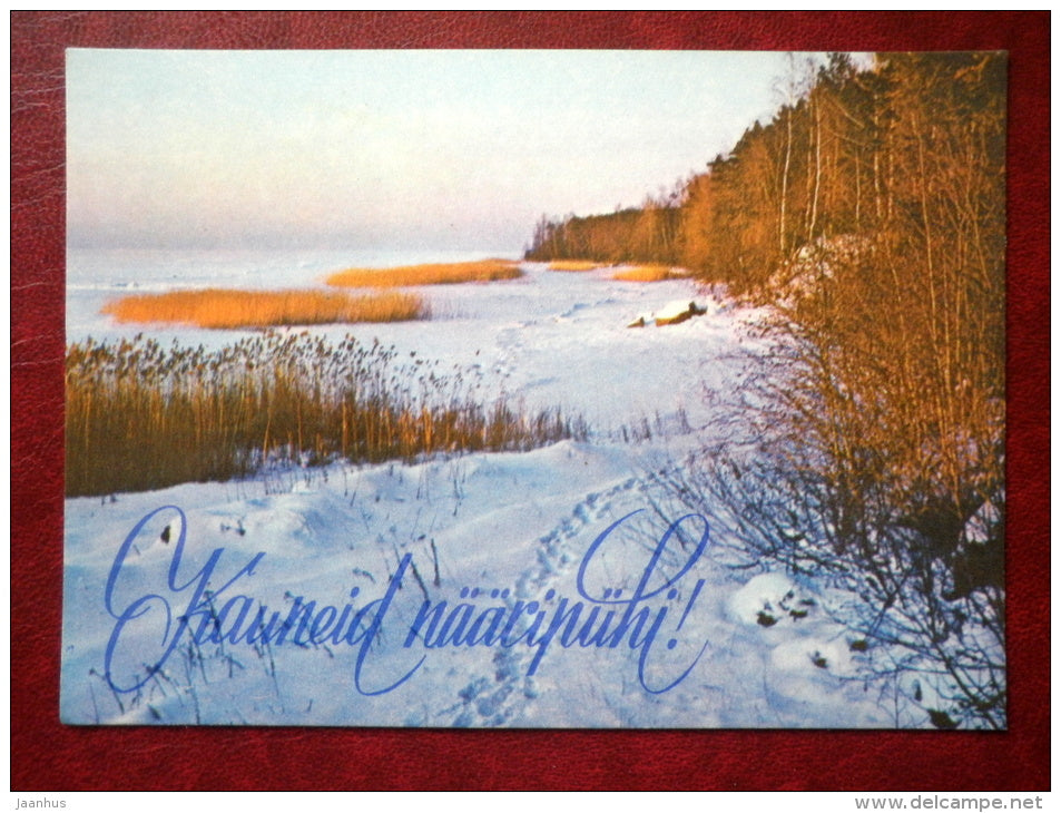 New Year Greeting card - lake Võrtsjärv - 1978 - Estonia USSR - used - JH Postcards