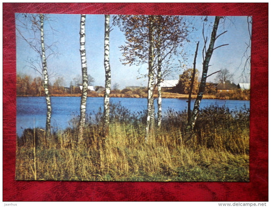 Lake Külajärv at Vellavere - birch trees - Estonian lakes - 1979 - Estonia - USSR - unused - JH Postcards