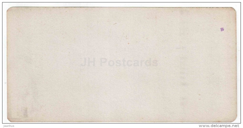 Railway Bridge over Podkumok river - Kislovodsk - Caucasus - Russia - Russie - stereo photo - stereoscopique - old photo - JH Postcards