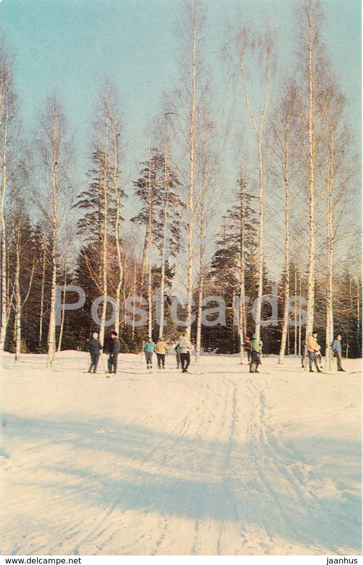 Pavlovsk - Birch Circle at the White Birch - 1971 - Russia USSR -  unused - JH Postcards