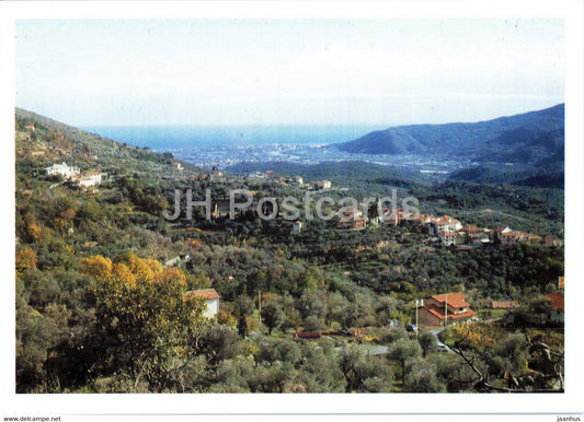 Arnasco SV - Un mare di ulivi - olive trees - Italy - unused - JH Postcards