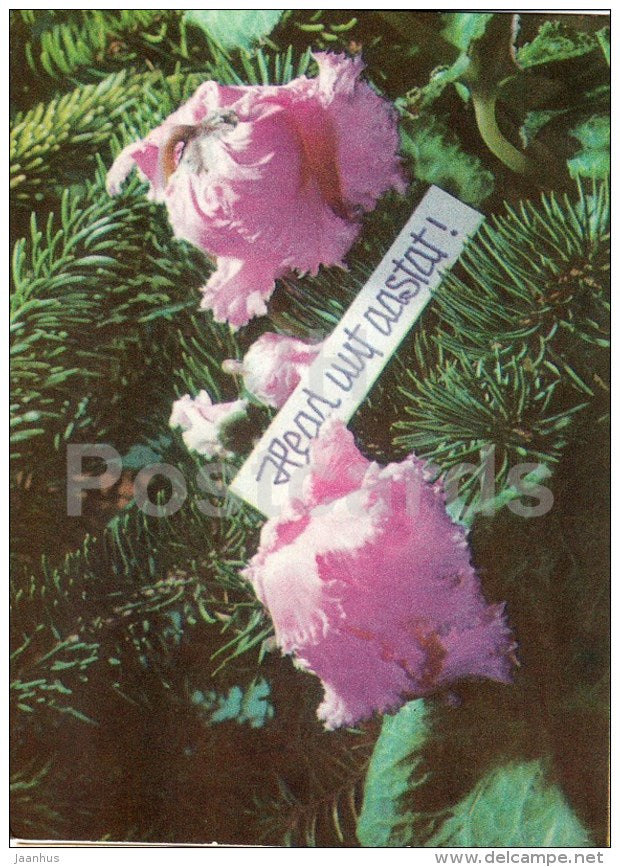 New Year greeting Card - flowers - 1971 - Estonia USSR - used - JH Postcards