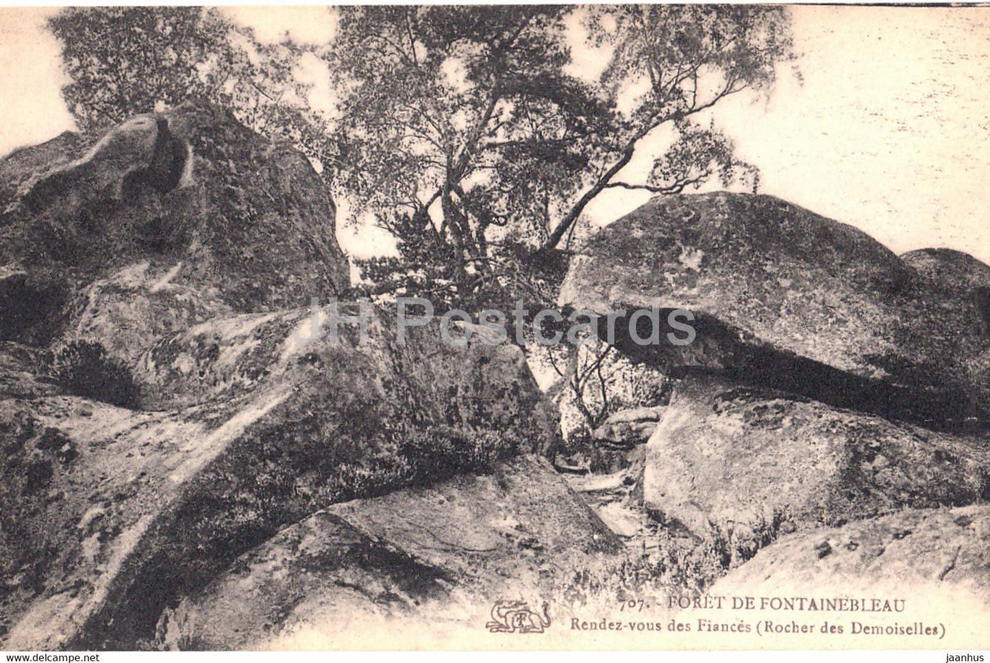 Foret de Fontainebleau - Rendez Vous des Fiances - Rocher des Demoiselles - 707 - old postcard - France - unused - JH Postcards