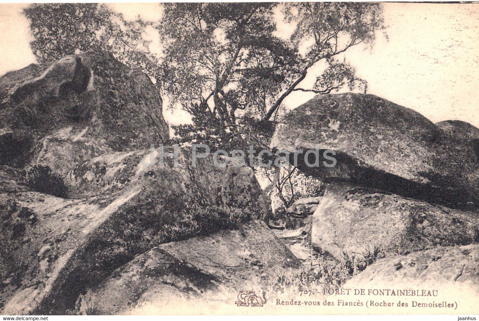 Foret de Fontainebleau - Rendez Vous des Fiances - Rocher des Demoiselles - 707 - old postcard - France - unused - JH Postcards