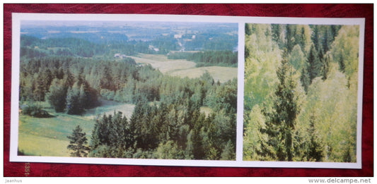 Latvian views - landscape - trees - 1980 - Latvia USSR - unused - JH Postcards