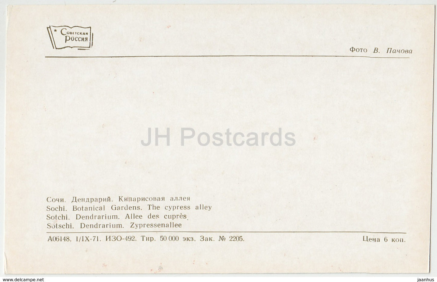 Sochi - Dendrarium - The Cypress Alley - 1971 - Russia USSR - unused