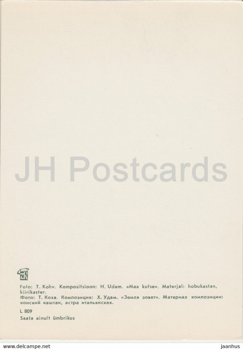 Earth Call - composition - Flower Art - ikebana - 1981 - Estonie URSS - inutilisé