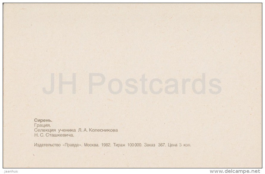 Grace - Lilac - 1982 - Russia USSR - unused - JH Postcards