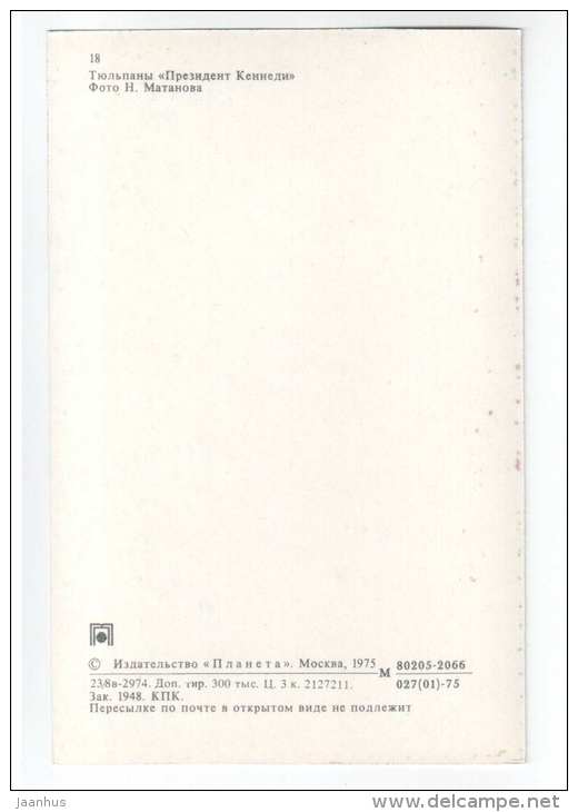 President Kennedy - Tulips - flowers - 1975 - Russia USSR - unused - JH Postcards