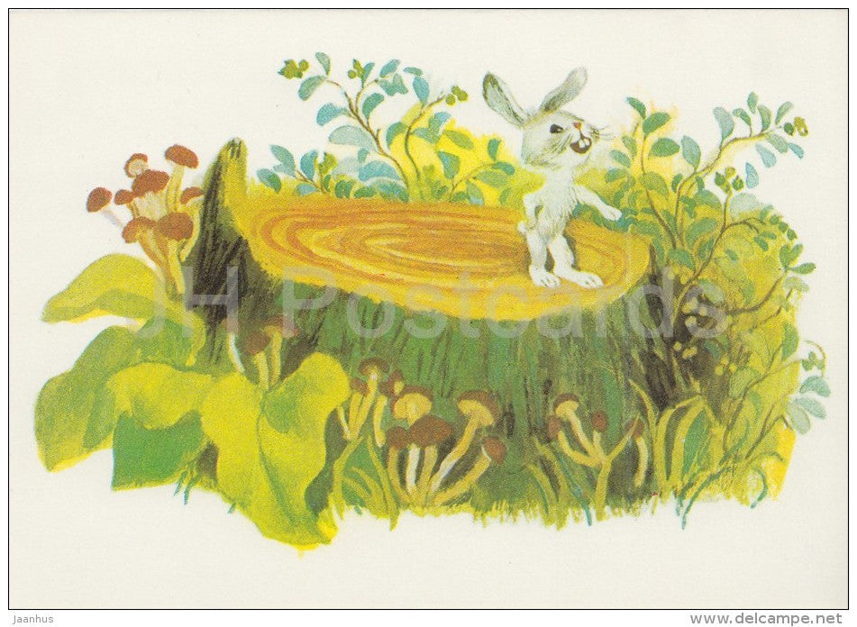 illustration by Y. Chernyatin - hare - Don´t Cry Mushroom by D. Mrazkova - fairy tale  - 1979 - Russia USSR - unus - JH Postcards