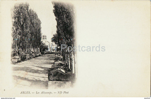 Arles - Les Aliscamps - 8 - old postcard - France - unused - JH Postcards