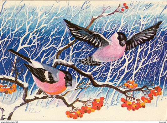 New Year Greeting card by M. Peil - Bullfinch - birds - 1978 - Estonia USSR - unused - JH Postcards