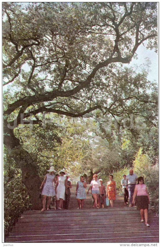 descent to the sea - Nikitsky Botanical Garden - Yalta - Crimea - 1972 - Ukraine USSR - unused - JH Postcards