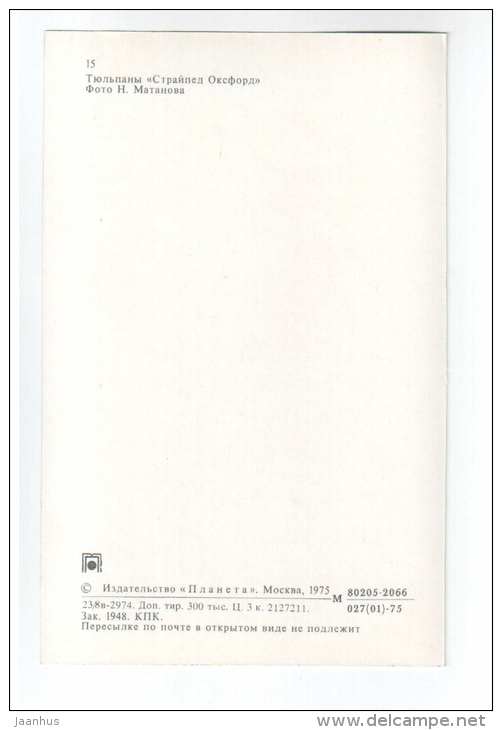 Striped Oxford - Tulips - flowers - 1975 - Russia USSR - unused - JH Postcards