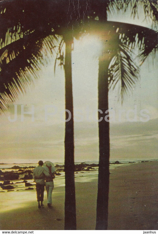 coast - palm trees - 1970s - Portugal - used - JH Postcards