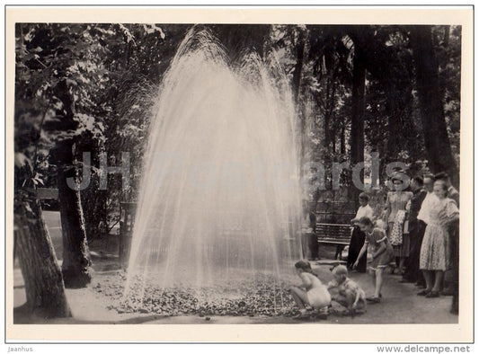 in the lower park - Petrodvorets - photo card - 1955 - Russia USSR - unused - JH Postcards