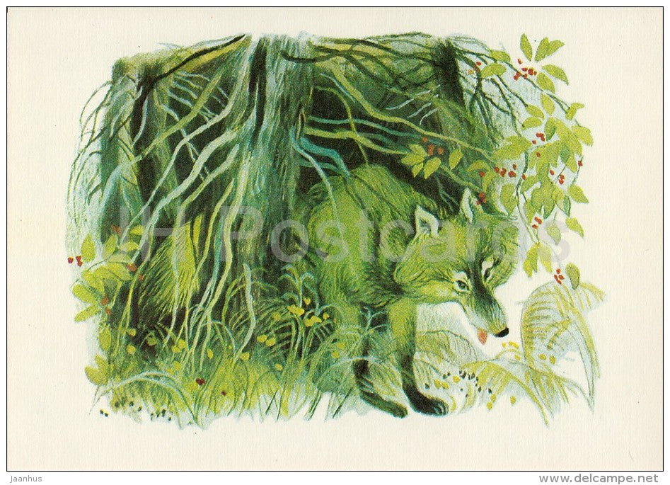 illustration - wolf - Don´t Cry Mushroom by D. Mrazkova - fairy tale  - 1979 - Russia USSR - unused - JH Postcards