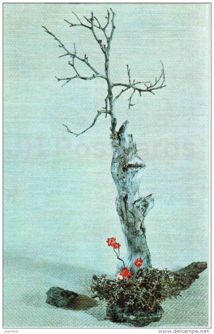 ikebana - composition - Winter Motives - 1976 - Russia USSR - unused - JH Postcards