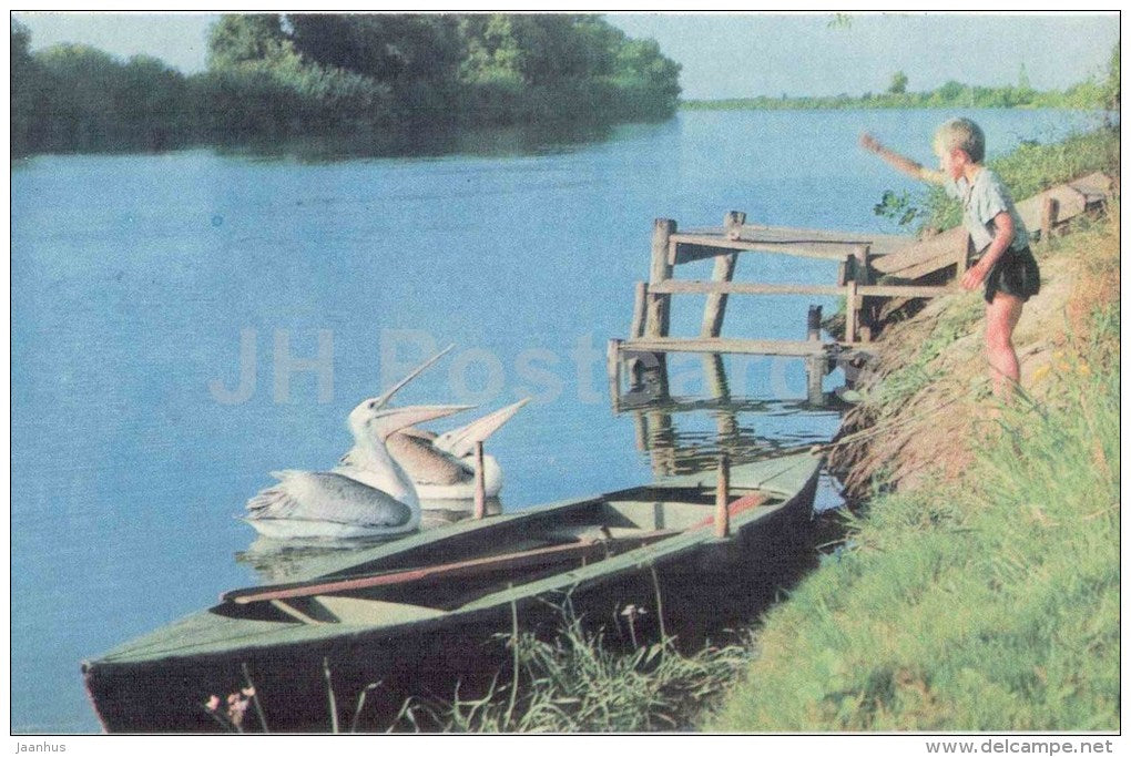 delta of Volga ariver - National Park - Astrakhan - 1970 - Russia USSR - unused - JH Postcards
