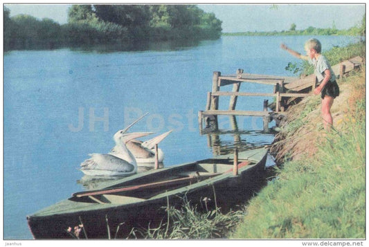 delta of Volga ariver - National Park - Astrakhan - 1970 - Russia USSR - unused - JH Postcards