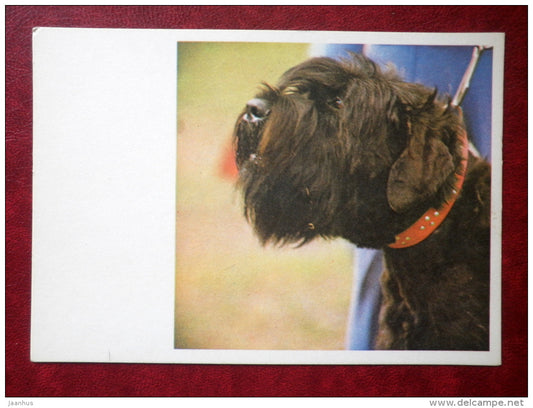 Black Terrier - dogs - 1981 - Estonia USSR - unused - JH Postcards