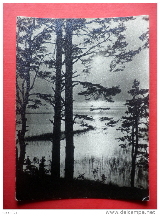 Vahendi shore - Võrtsjärv lake - 1966 - Estonia USSR - unused - JH Postcards
