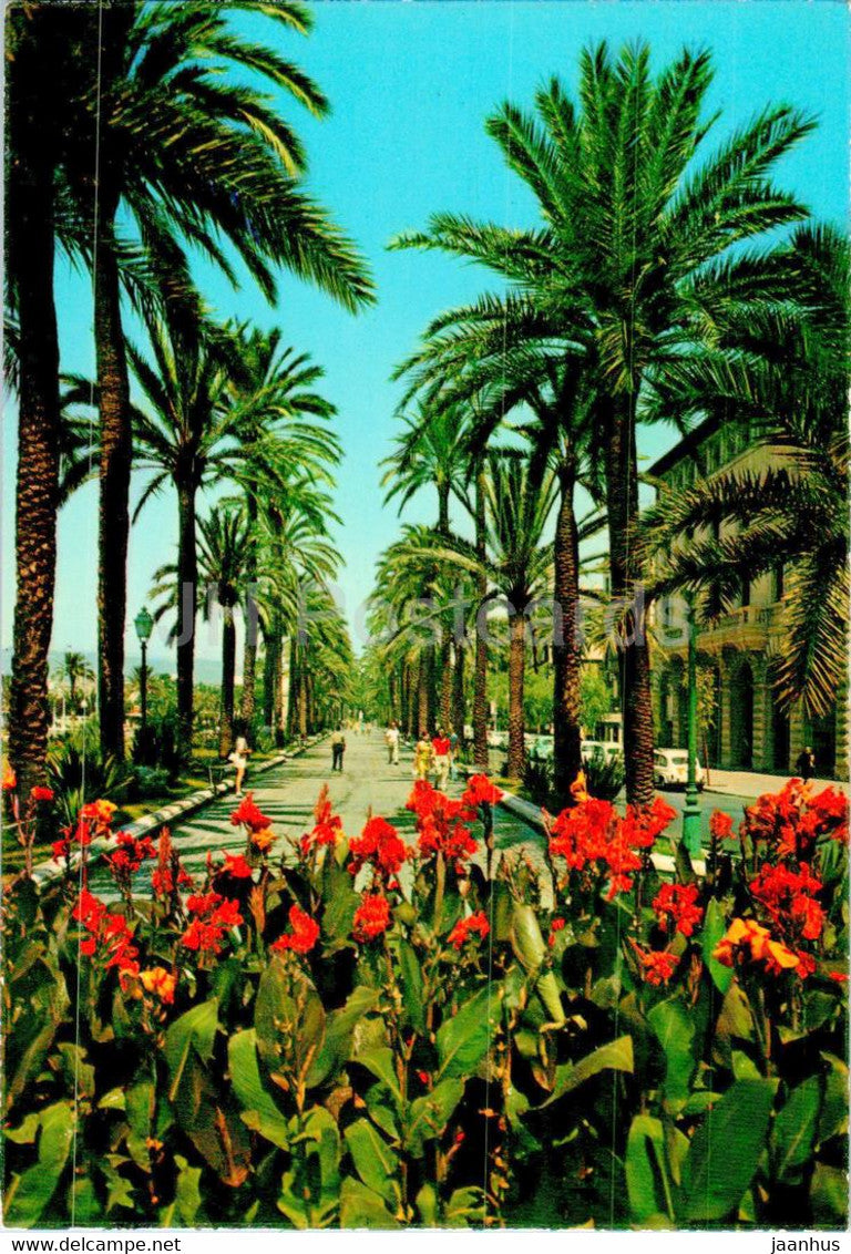 Palma - Paseo Sagrera - Mallorca - 1026 - Spain - unused - JH Postcards