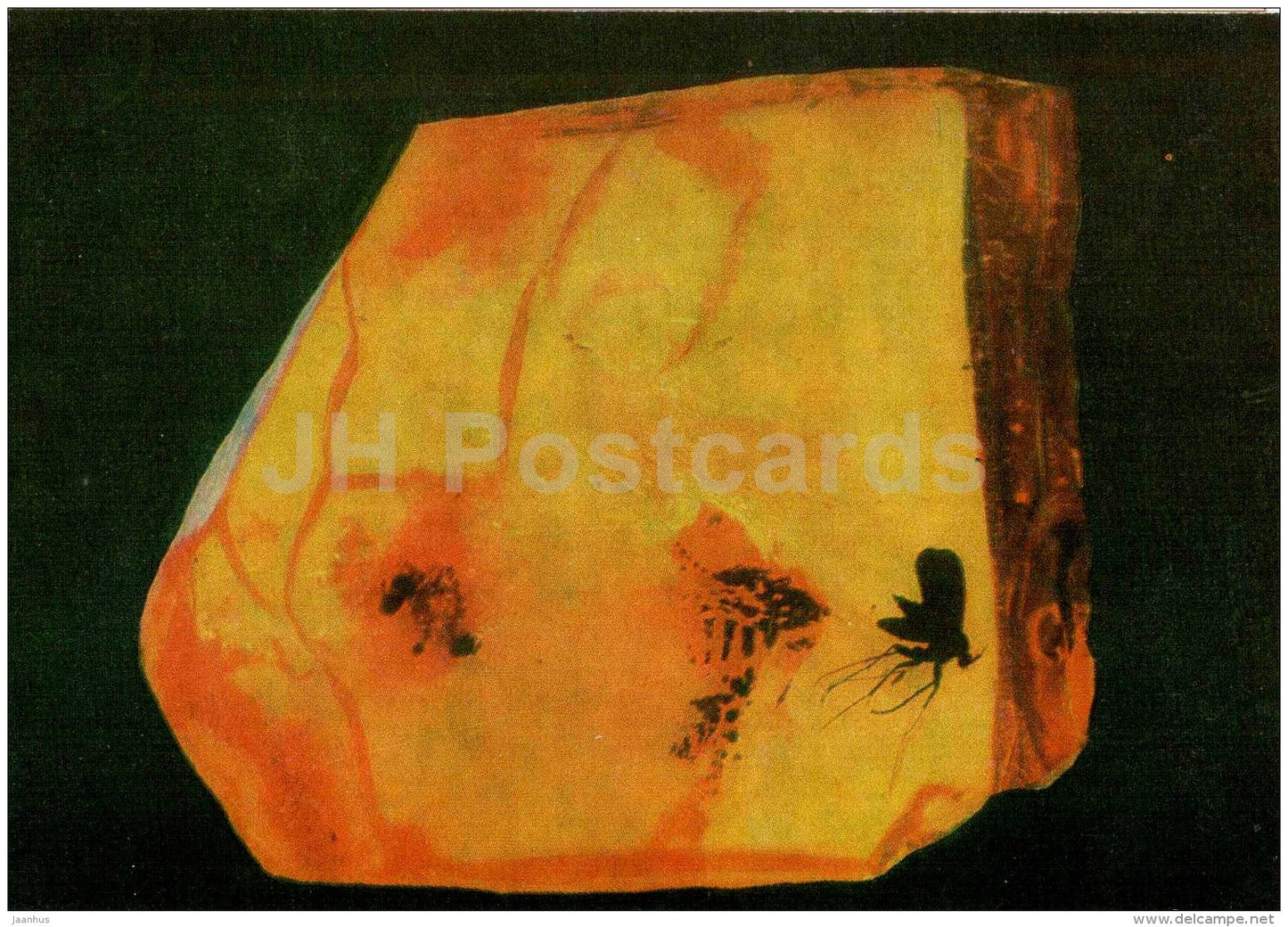 Piece of Amber with Inclusions - 2 - Amber - Gintaras - 1973 - Lithuania USSR - unused - JH Postcards