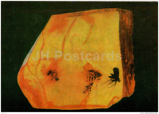 Piece of Amber with Inclusions - 2 - Amber - Gintaras - 1973 - Lithuania USSR - unused - JH Postcards