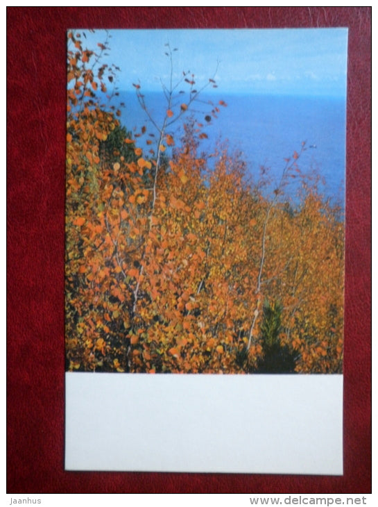 golden autumn - Baikal - 1971 - Russia USSR - unused - JH Postcards