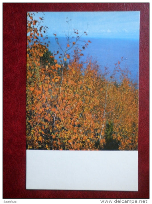 golden autumn - Baikal - 1971 - Russia USSR - unused - JH Postcards