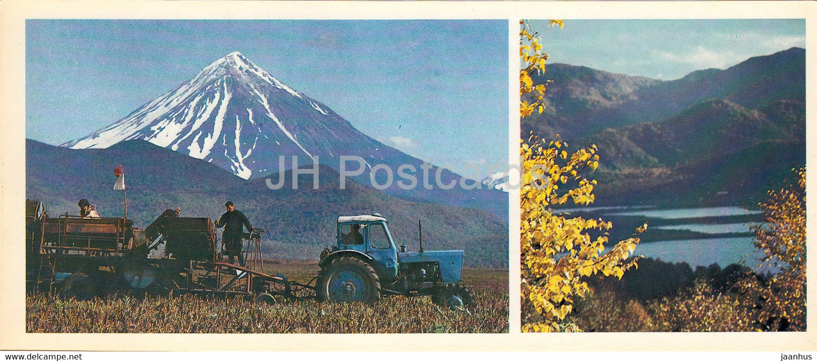 Kamchatka - harvesting - tractor Belarus - 1981 - Russia USSR - unused - JH Postcards