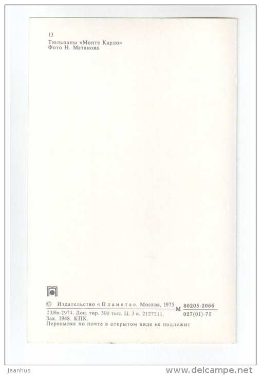 Monte Carlo - Tulips - flowers - 1975 - Russia USSR - unused - JH Postcards