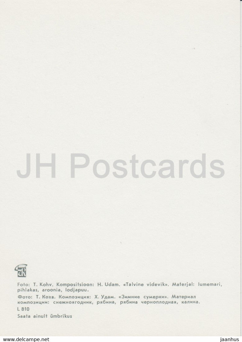 Winter Twilight - composition - Flower Art - ikebana - 1981 - Estonie URSS - inutilisé