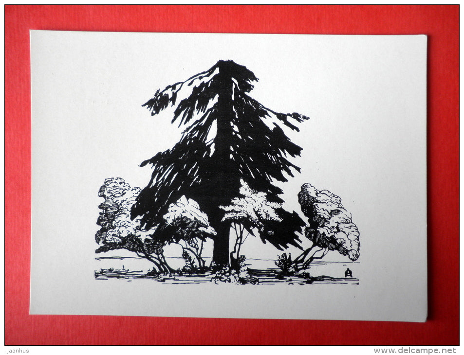 engraving by Anna Ostroumova-Lebedeva - Broken Fir-tree , 1902 - russian art - unused - JH Postcards