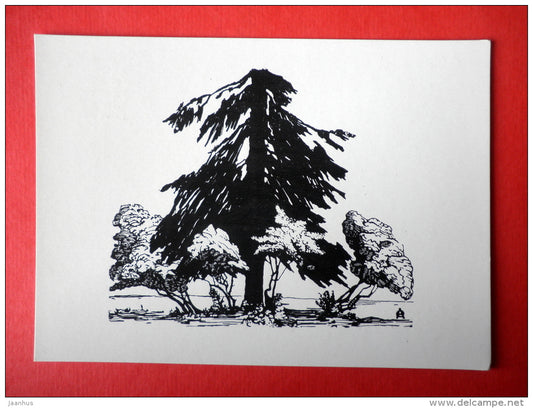 engraving by Anna Ostroumova-Lebedeva - Broken Fir-tree , 1902 - russian art - unused - JH Postcards