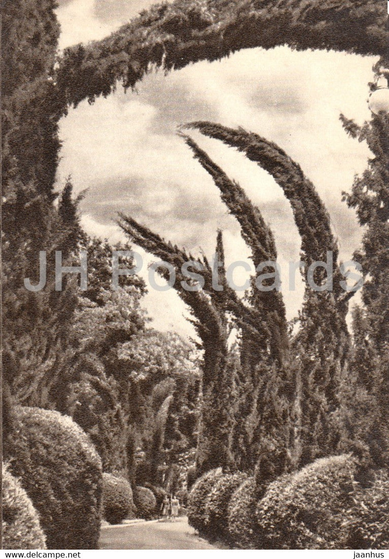 Sochi - sanatorium Pravda park - 1958 - Russia USSR - unused - JH Postcards