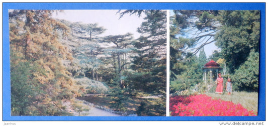 Lebanese cedar grove - pavilion under stone-pines - Nikitsky Botanical Garden - 1981 - Ukraine USSR - unused - JH Postcards